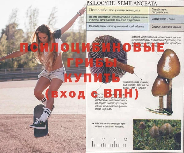 MDMA Балабаново
