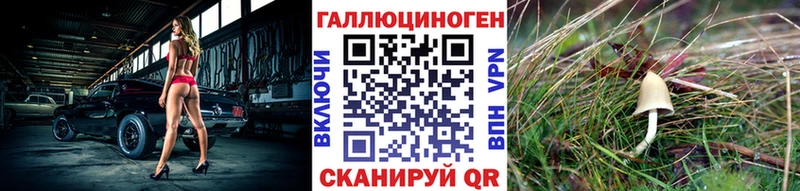 Галлюциногенные грибы мицелий  это как зайти  Николаевск-на-Амуре  магазин продажи наркотиков  мега tor 